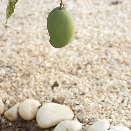 Hébergement de vacances Urban - A Algarvia *