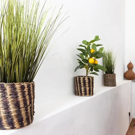 Urban - A Algarvia Портиман